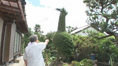 2012.7