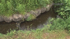 2012.8