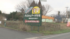2012.3