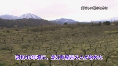 2012.3