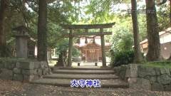 2011.11
