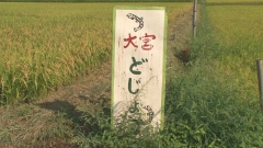 2011.9
