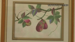 2011.12