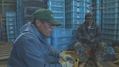 2011.12