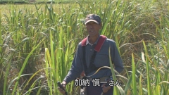 2011.10