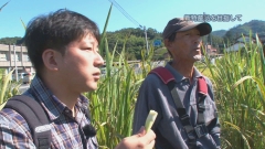 2011.10
