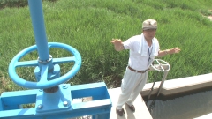 2011.7
