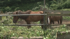2011.7