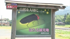 2014.3