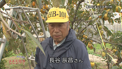 2014.11
