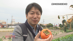 2014.11
