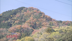 2014.12