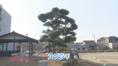 2015.1