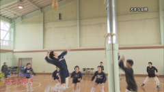 2015.3