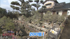 2015.3