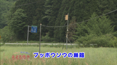 2015.6