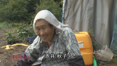 2015.9