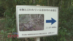 2015.9