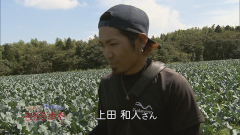 2015.10