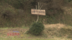 2016.2