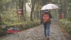 2016.11
