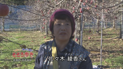 2016.12