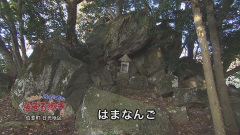 2016.12