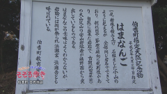 2016.12