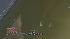 2018.8