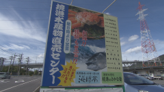 2018.10