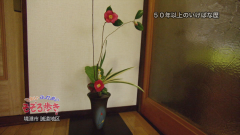 2019.2