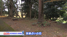 令和３年１２月