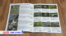 令和４年２月