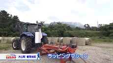 R5.6