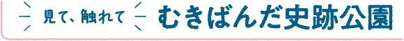 見て、触れて　むきばんだ史跡公園