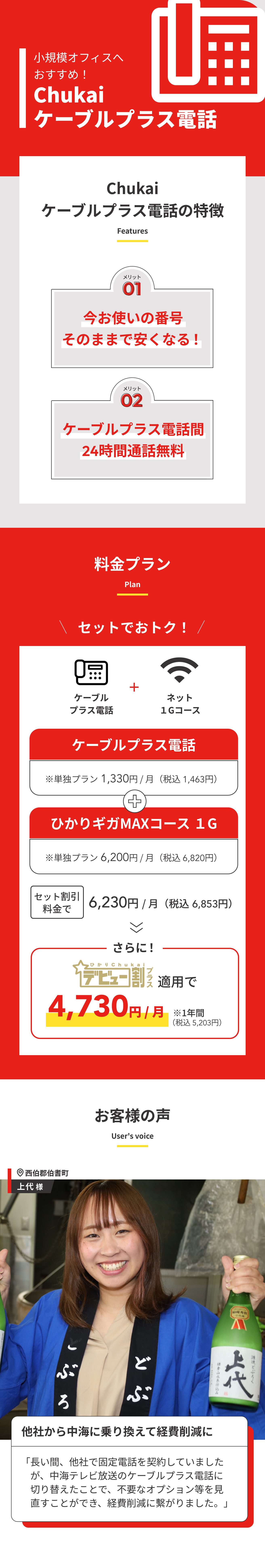 ケーブルプラス電話