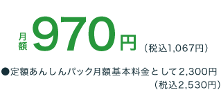 定額あんしんパック月額970円(税込1,067円)