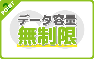 データ容量無制限